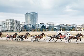 Carrera de caballos en el hipódromo de Krieau
