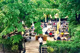 Vue sur le jardin du Café Diglas