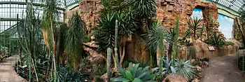 Cactus su rocce nella Casa del Deserto