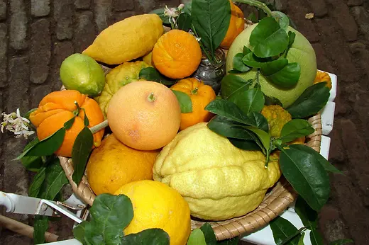 Basket with assorted citrus fruits
