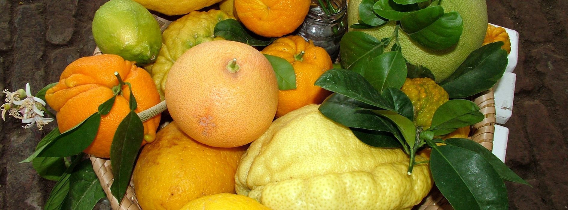 Basket with assorted citrus fruits