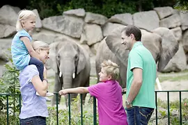 Famille devant l'enclos des éléphants au Jardin zoologique de Schönbrunn 