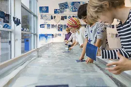 Enfants développant des photos