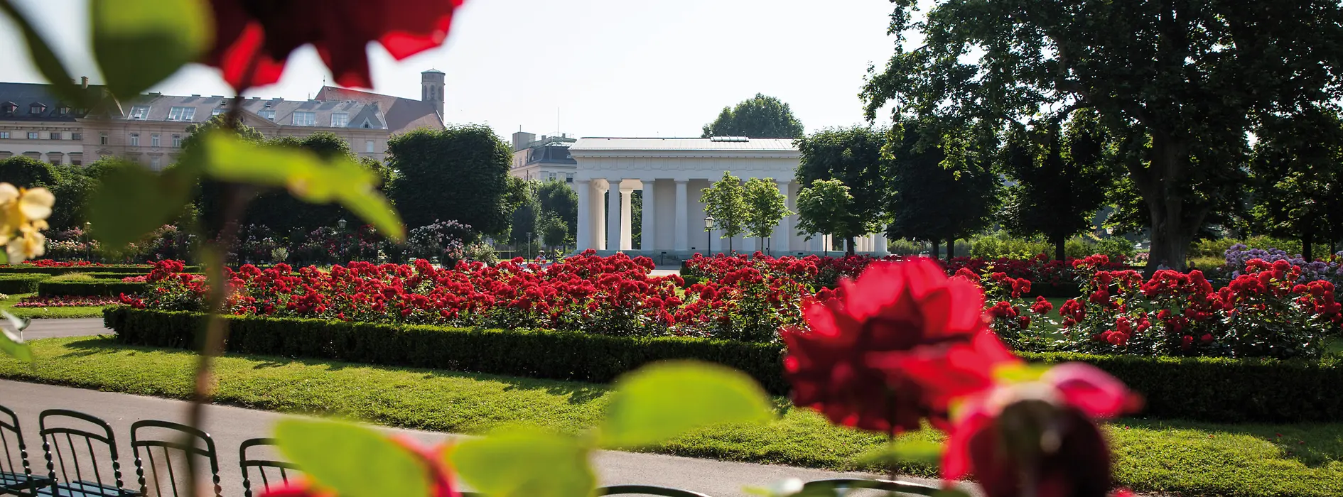 Rose garden in Volksgarten 