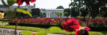 Rose garden in Volksgarten 