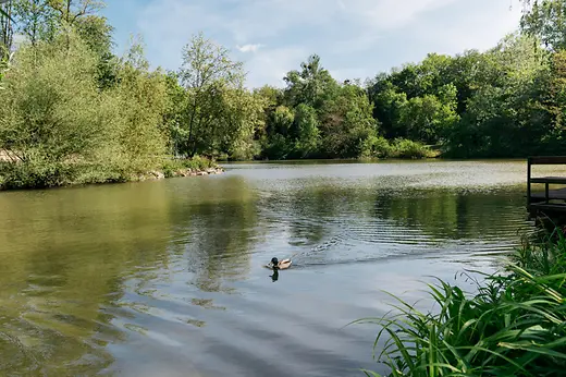 Canard