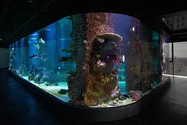 360stupňová nádrž se žraloky v Domě moře (2021)