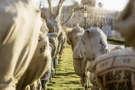 Over-wintering roses