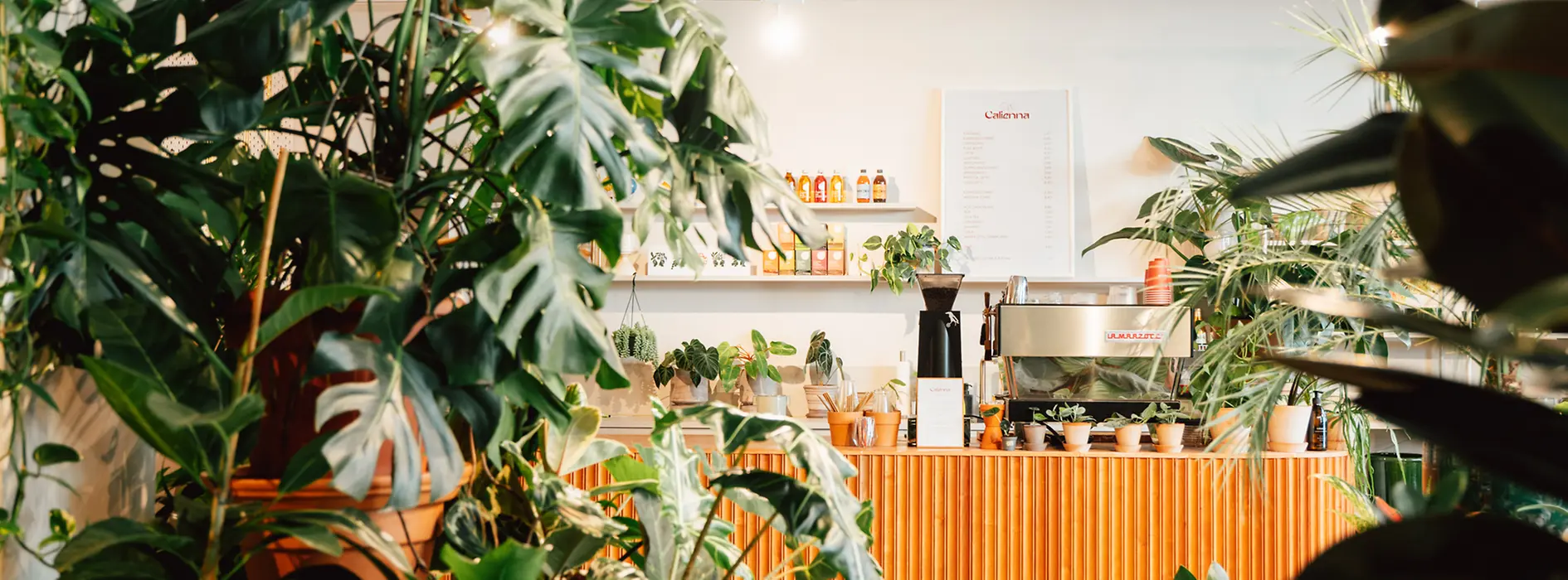 Calienna, Café, interior view