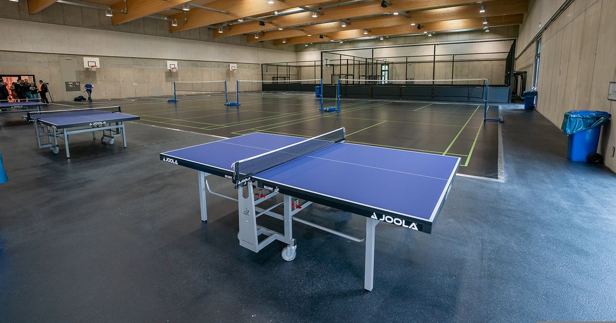 Table tennis - vienna.info