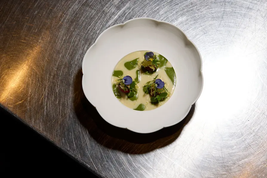 Vegan meal on a plate