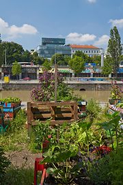 Urban garden: Urban Gardening on the Danube Canal