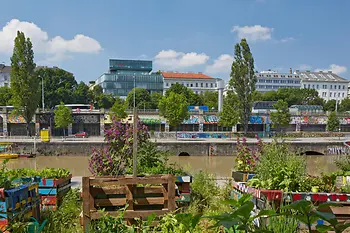 Stadtgarten: Urban Gardening am Donaukanal