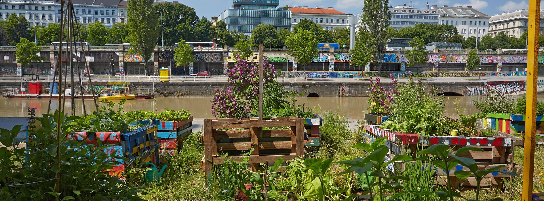 Urban garden: Urban Gardening on the Danube Canal