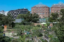 Gemeinschaftsgärten, Urban Gardening, Blick auf Gasometer