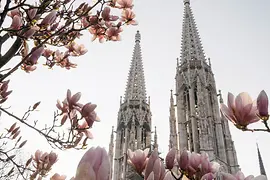 Votivkirche