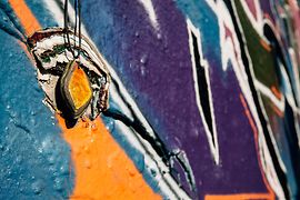 Birdly - collana realizzata con strati di vernice per graffiti