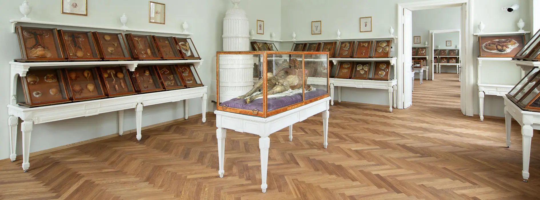 Ausstellungsansicht mit Wachsmodellen in historischen Vitrinen