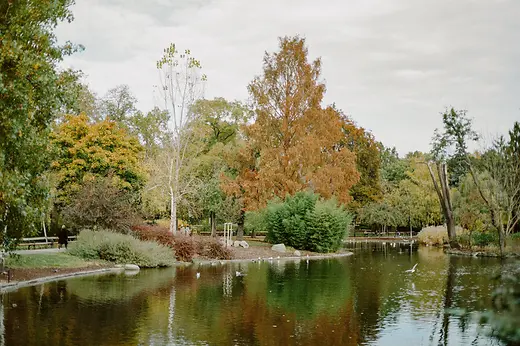Park landscape with pond