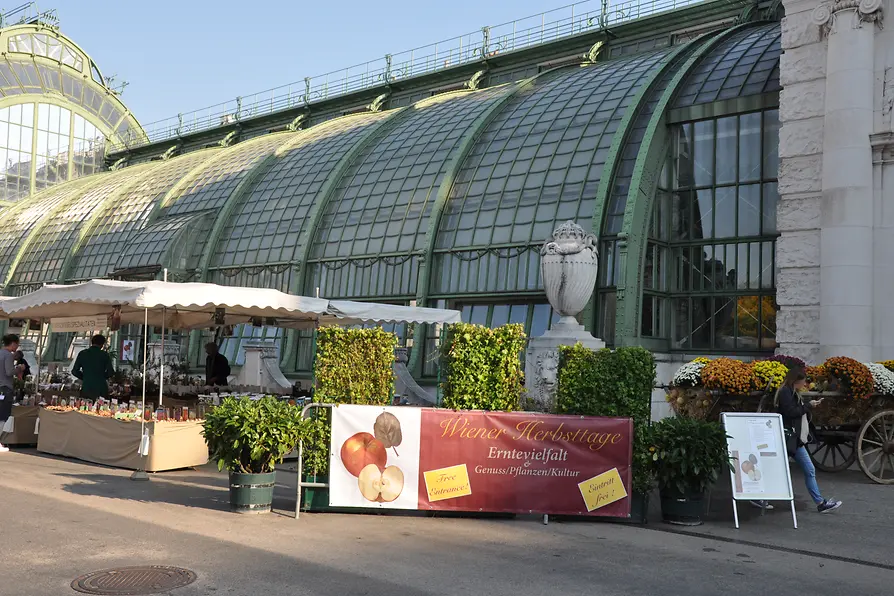 Exterior view palm house Burggarten