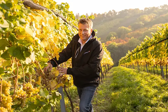 Thomas Podsednik in the vineyard