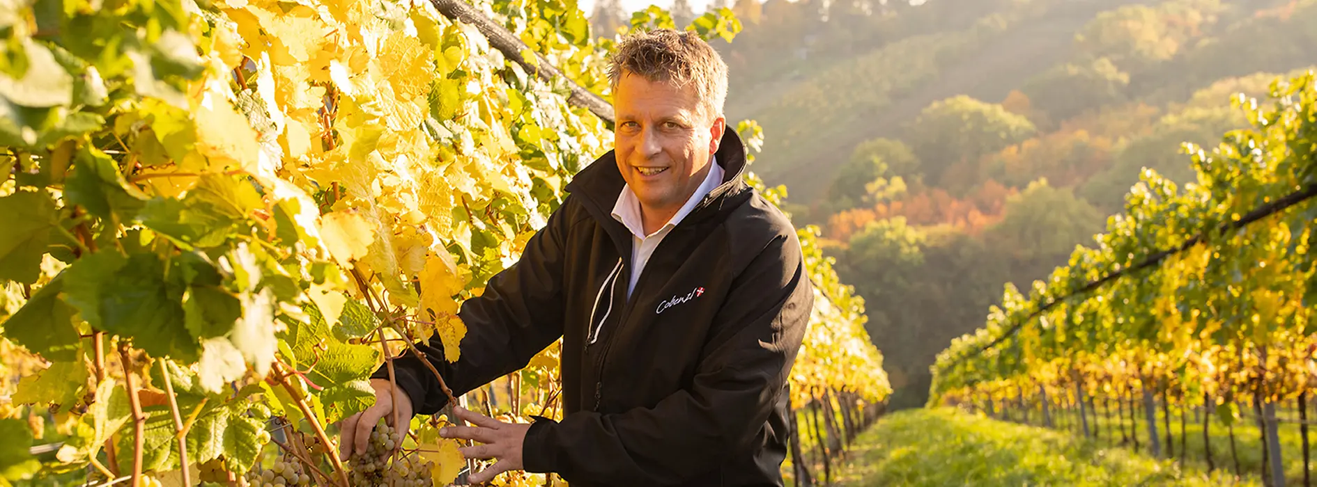 Thomas Podsednik in the vineyard