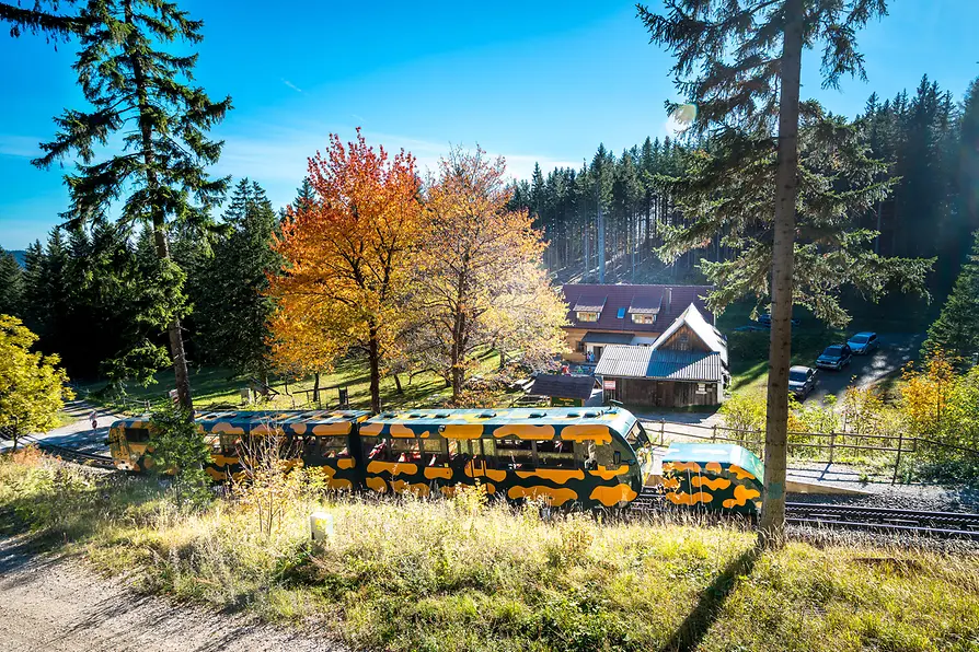 Schneebergbahn, Salamander train