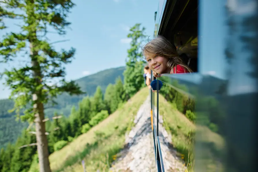 Schneebergbahn, Salamander train