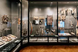 Weltmuseum Wien pohled na výstavu