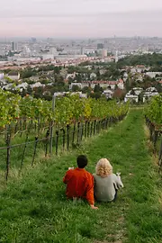 Couple with wine sitting between grape vines and enjoying the view over Vienna