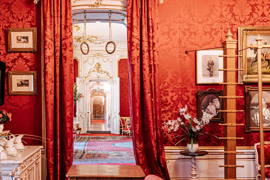 Regard sur les Appartements impériaux