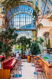 Palm House Café