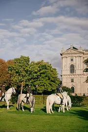 Lipizzaner horses on the morning stroll through the Burggarten