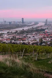 View of Vienna from the vineyards, sunset in the background