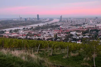 Vista de Viena desde los viñedos, puesta de sol al fondo