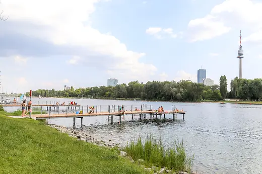 Steg im Wasser der Donau