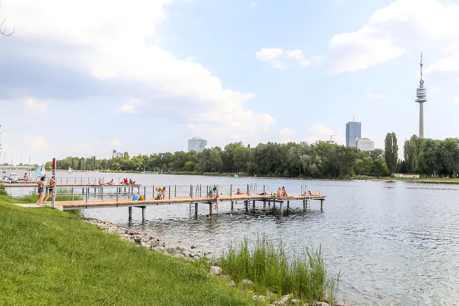 Steg im Wasser der Donau