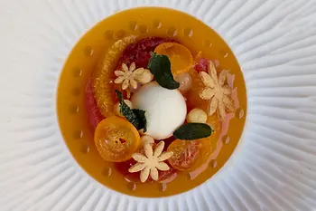 Restaurant JOLA, plate with food