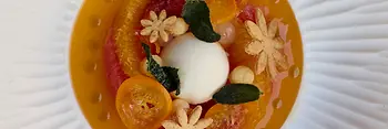Restaurant JOLA, plate with food