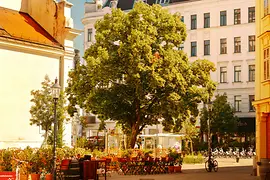 Terrazas en la plaza Karmeliterplatz