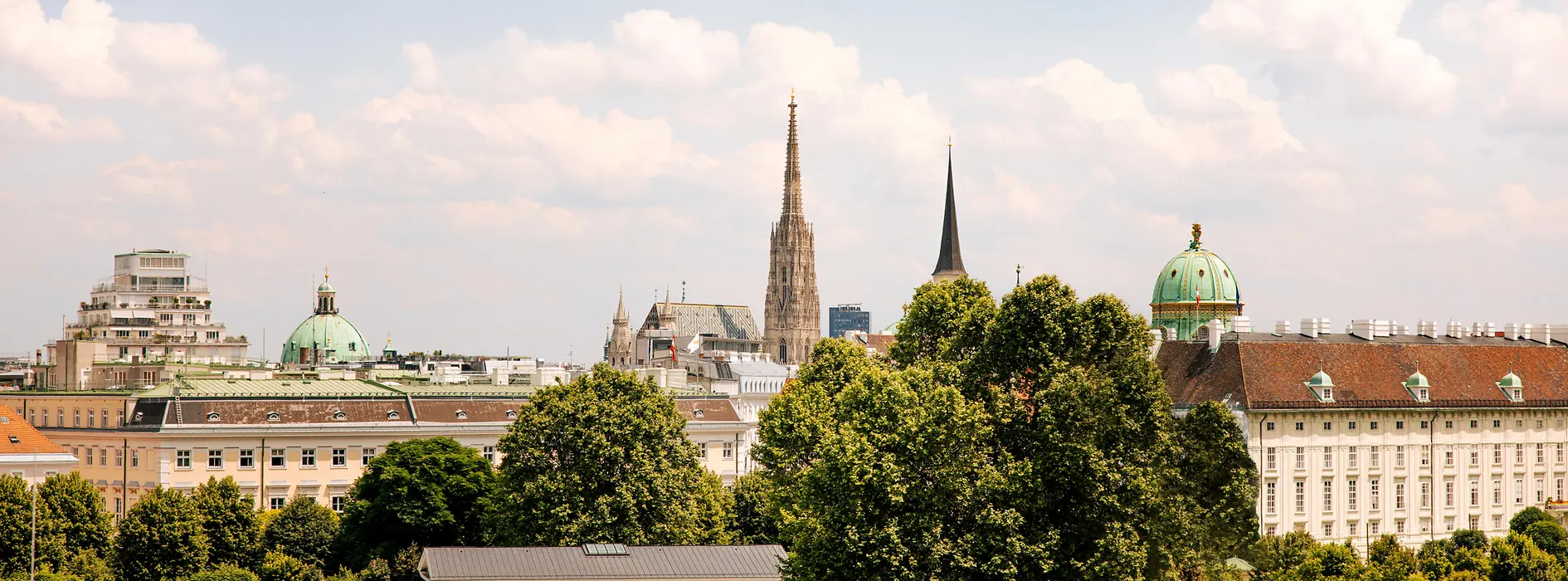 View over Vienna and St. Stephen's Cathedral from the terrace at the Parliament