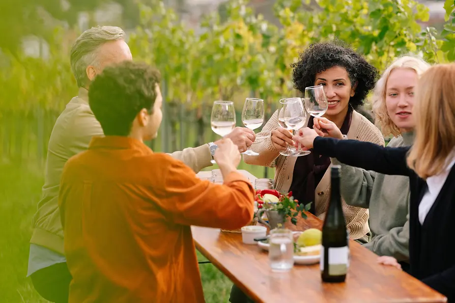 Menschengruppe trinkt Wein in den Wiener Weinbergen