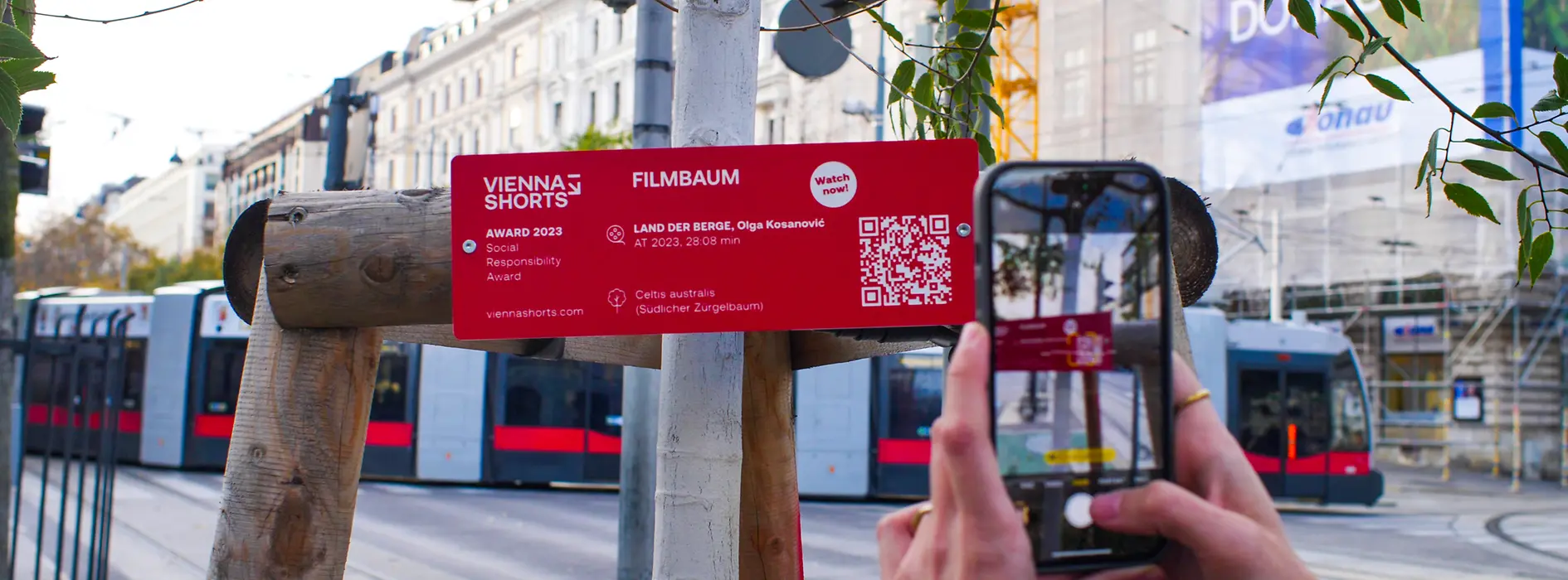 Vienna Shorts, tree, plaque