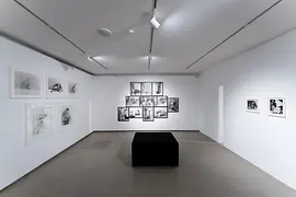 Wiener Aktionismus Museum, vista della mostra