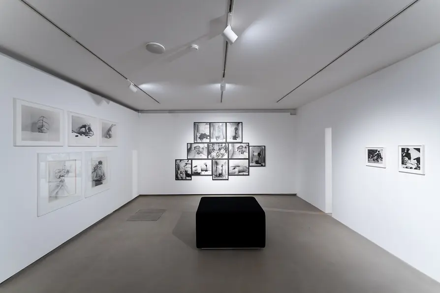 Wiener Aktionismus Museum (Musée de l’Actionnisme viennois), aperçu de l’exposition