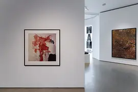 Wiener Aktionismus Museum, vista della mostra