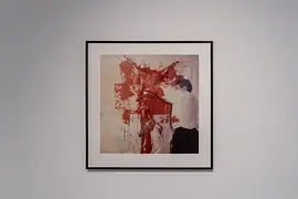 Wiener Aktionismus Museum, Ausstellungsansicht