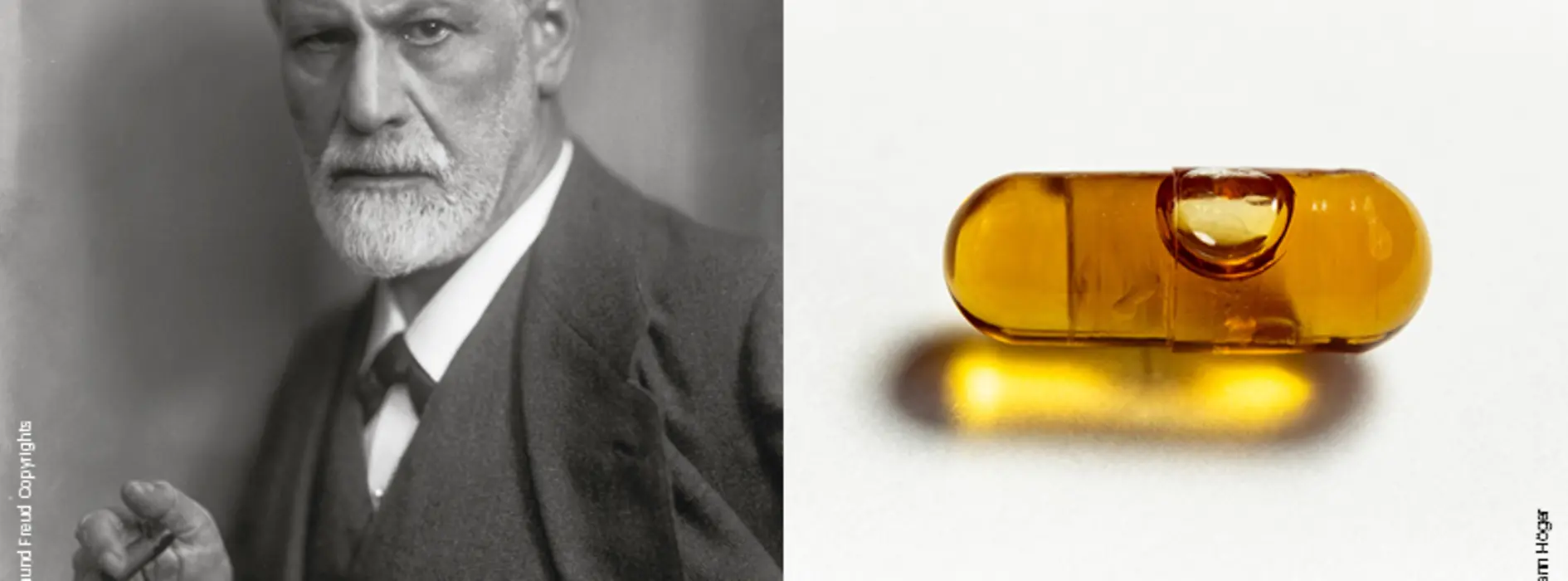 Freud_Microdose