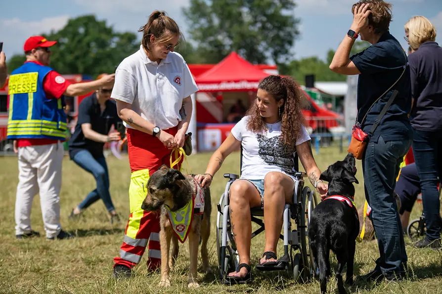 Festa dell’Isola del Danubio 2023