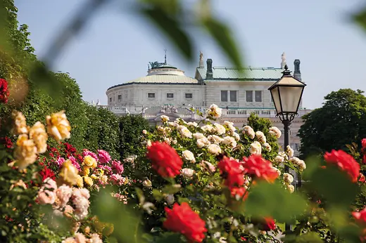 Rose nel Volksgarten con il Burgtheater sullo sfondo
